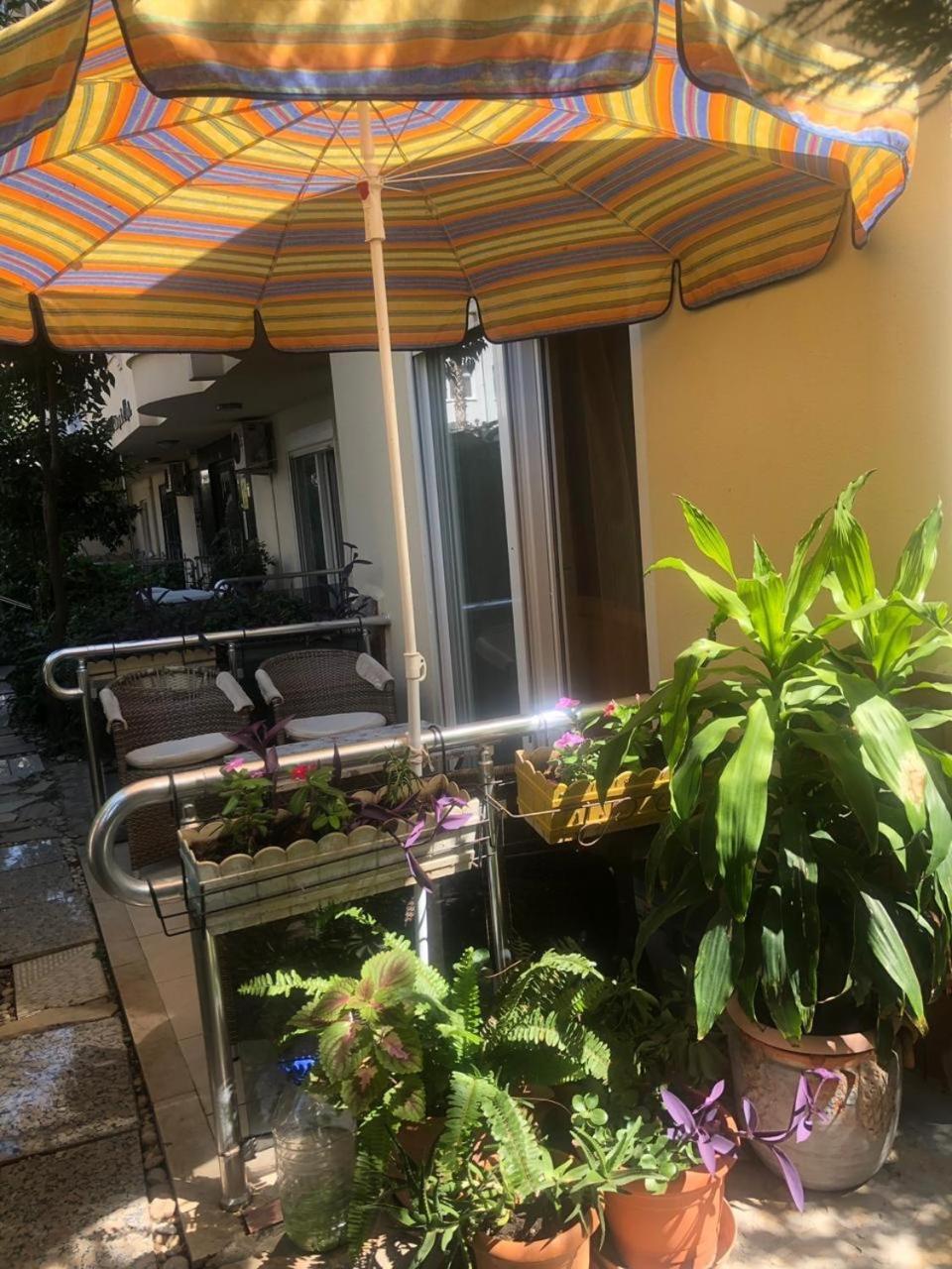 Emniyet Sokak Apartment アランヤ エクステリア 写真